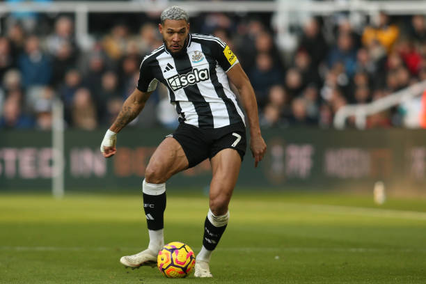 都可能决定 都可能决定